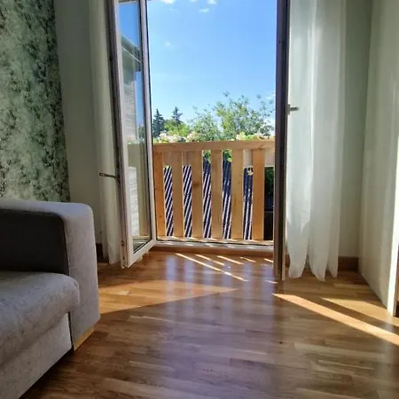 Kivi *